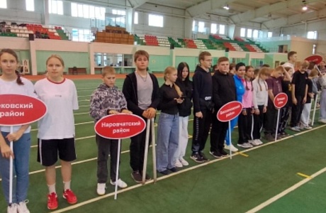 Фестиваль по городошному спорту