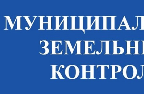 Внесена информация о муниципальном земельном контроле