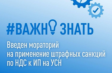 Правительство ввело мораторий на штрафы за неподачу декларации