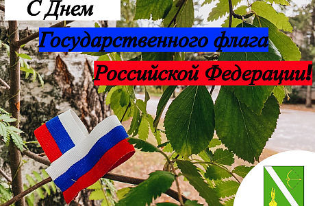 Поздравление главы Бессоновского района Натальи Шалдаевой с Днём Государственного флага Российской Федерации!