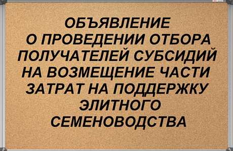 Министерство сельского хозяйства Пензенской области объявляет отбор получателей субсидий на поддержку элитного семеноводства
