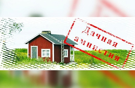 Дачная амнистия