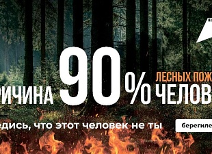 В 9 из 10 случаев причина лесного пожара – человек. 