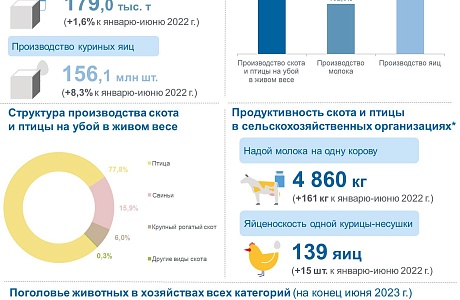 Состояние животноводства в хозяйствах всех категорий в январе–июне 2023 года