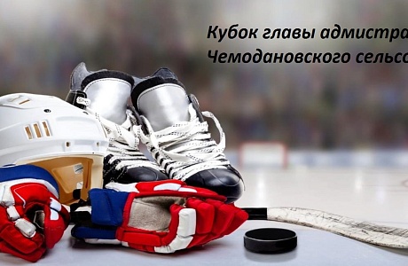 Кубок главы Администрации Чемодановского сельского совета