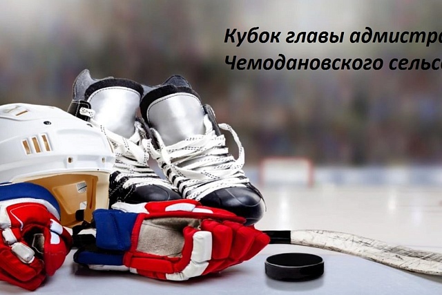 Кубок главы Администрации Чемодановского сельского совета