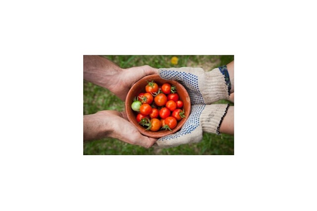 Предприниматели смогут продавать свежие продукты на Озон Предприниматели смогут продавать свежие продукты на Озон