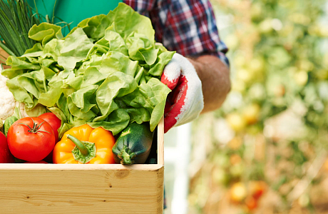 Об изменении цен производителей сельскохозяйственной продукции по Пензенской области в октябре 2023 года