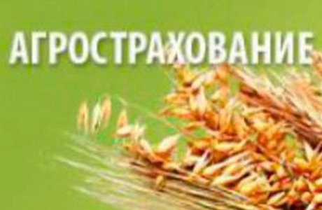 Объявлен отбор получателей субсидии на возмещение части затрат на уплату страховых премий, начисленных по договорам сельскохозяйственного страхования в области растениеводства