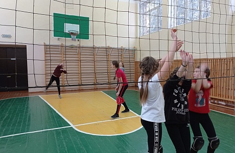 Соревнования по волейболу