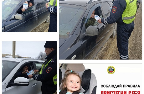 Сотрудники Госавтоинспекции Бессоновского района провели акцию #ВАвтокреслеБезопасно