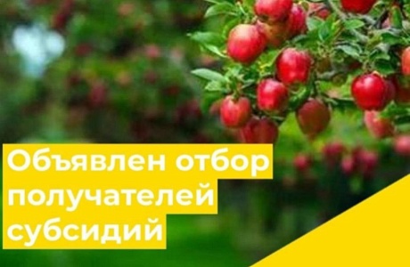 Объявлен отбор получателей субсидий на закладку многолетних насаждений