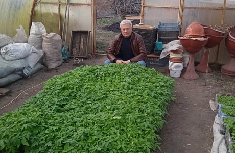 Весенние первоцветы  в хозяйстве Ольги Долдиной