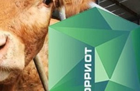 Учёт сельскохозяйственных животных ведется в системе «Хорриот»