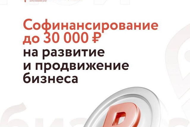 Софинансирование до 30000 рублей на развитие и продвижение бизнеса