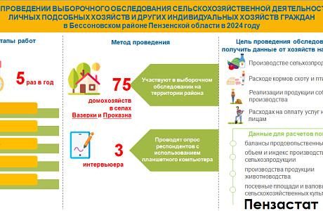О ПРОВЕДЕНИИ ВЫБОРОЧНОГО ОБСЛЕДОВАНИЯ СЕЛЬСКОХОЗЯЙСТВЕННОЙ ДЕЯТЕЛЬНОСТИЛИЧНЫХ ПОДСОБНЫХ ХОЗЯЙСТВ И ДРУГИХ ИНДИВИДУАЛЬНЫХ ХОЗЯЙСТВ ГРАЖДАН в Бессоновском районе Пензенской области в 2024 году