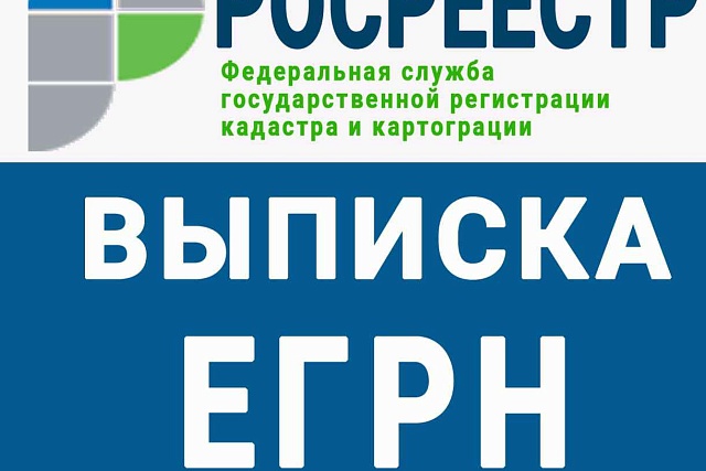 Выписки с общедоступными сведениями Выписки с общедоступными сведениями