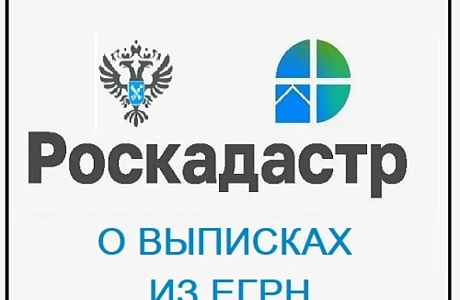 С начала года региональным Роскадастром выдано более 580 тысяч выписок из ЕГРН