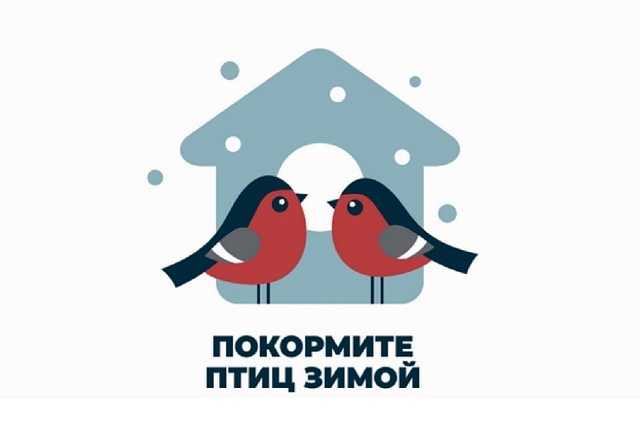 Подведены итоги муниципальной этапа акции «Покормите птиц зимой»