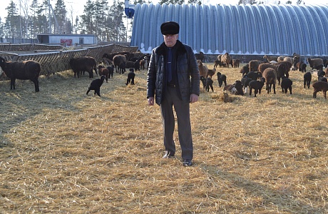 Приплод в хозяйстве Екатерины Лисовол
