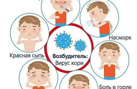 Внимание! Корь! Внимание! Корь!
