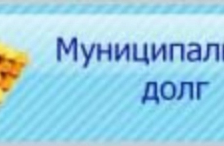 О снижении муниципального долга