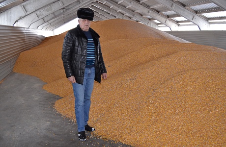 ООО «ДЦ-Агро» продолжает уборку кукурузы на зерно
