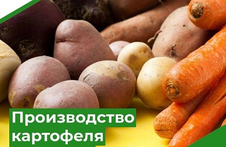 Объявление об отборе получателей субсидий на стимулирование увеличения производства картофеля и овощей