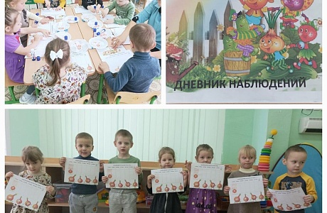 «Чудо-огород на подоконнике». «Чудо-огород на подоконнике».