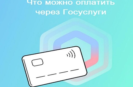 Что можно оплатить через Госуслуги