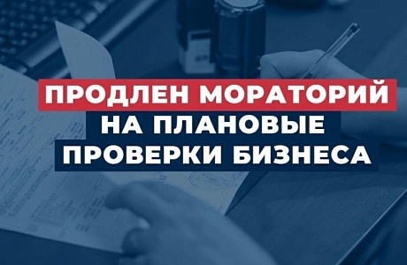 Путин поручил продлить на 2024 год мораторий на проверки бизнеса
