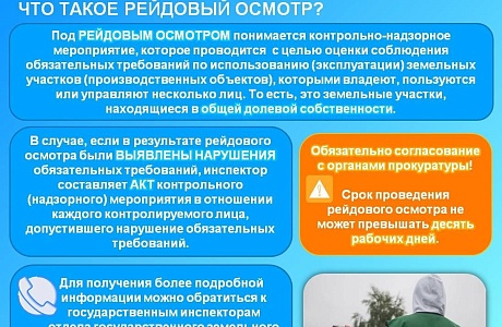 Рейдовый осмотр – что это?