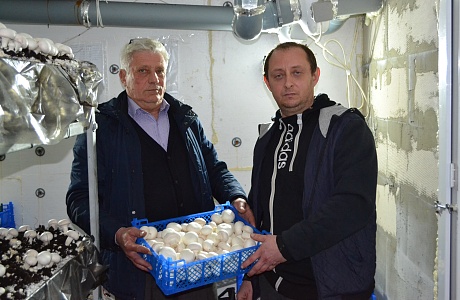 Развитие грибоводства в Бессоновском районе