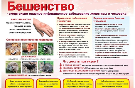 О проведении профилактических мероприятий по недопущению возникновения бешенства на территории Бессоновского район, Пензенской области О проведении профилактических мероприятий по недопущению возникновения бешенства на территории Бессоновского район, Пензенской области