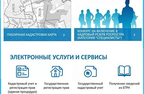 Какие сведения о земельном участке можно получить онлайн