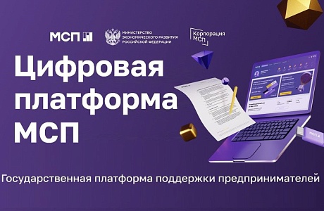 Пензенские бизнесмены получили 56 микрозаймов через сервис МСП.РФ