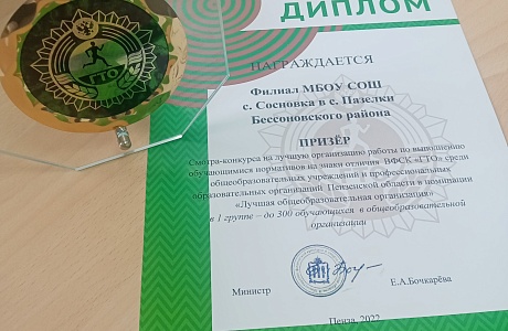 Школа с.Пазелки стала призером в конкурсе ГТО