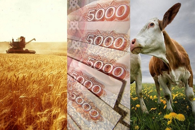 С 2023 года вступили в силу новые правила предоставления господдержки АПК