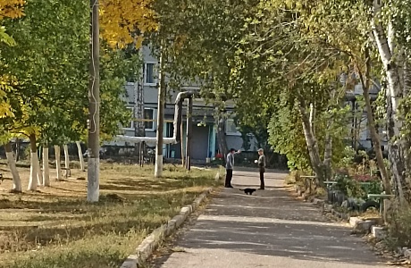 Межведомственный рейд