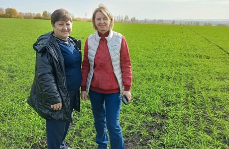 Проведен государственный учет показателей состояния плодородия земель сельскохозяйственного назначения
