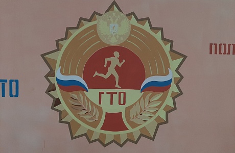 В Центр тестирования ВФСК ГТО Бессоновского района  поступили знаки ГТО