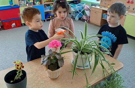 "Мир комнатных растений".