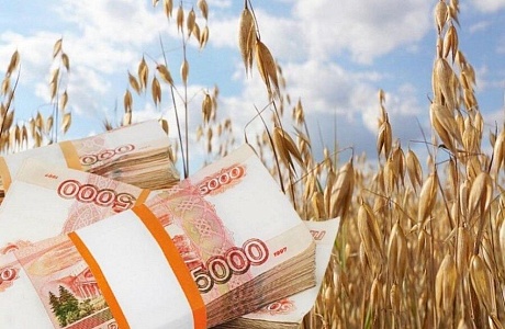 Пензенские аграрии получат субсидии на поддержку приоритетных направлений агропромышленного комплекса и развитие малых форм хозяйствования  