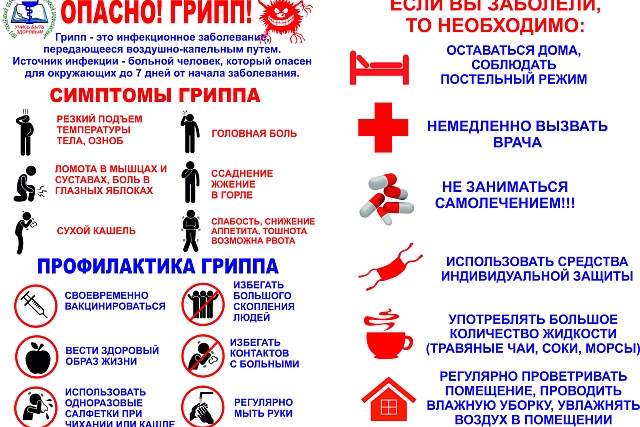 Профилактика гриппа и ОРВИ