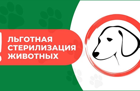 Льготная стерилизация собак  