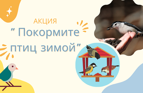Спешите принять участие в акции "Покормите птиц зимой"