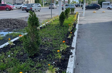 с. Бессоновка работа по благоустройству и озеленению 