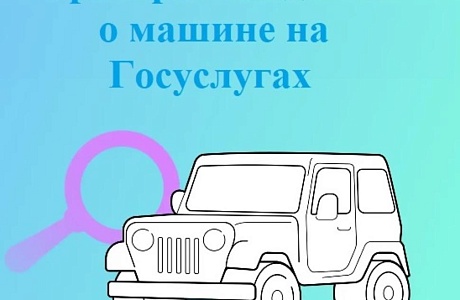 Проверка сведения об автомобиле перед покупкой на Госуслугах