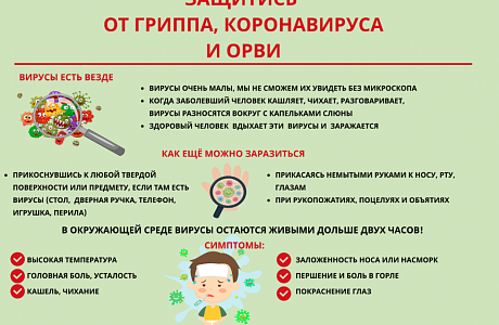 Защитись от коронавируса, гриппа и ОРВ Защитись от коронавируса, гриппа и ОРВ