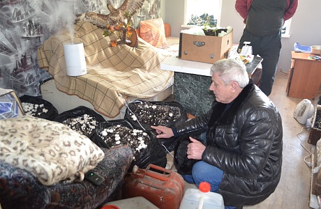 Грибоводство в Бессоновском районе